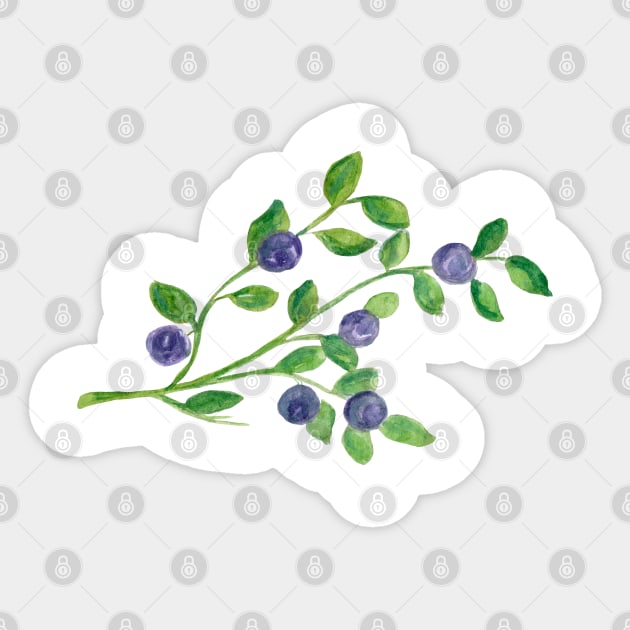 Blueberries - delicious harbinger of late summer Sticker by Elena Ehrenberg